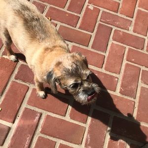 Meet your Posher, Mark